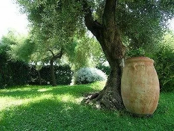 Miceneo Palace Scanzano Jonico