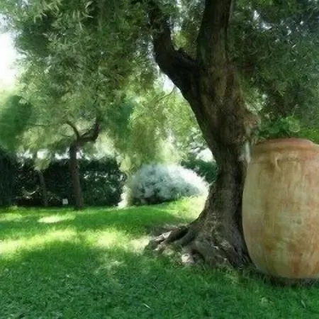 Miceneo Palace 4*